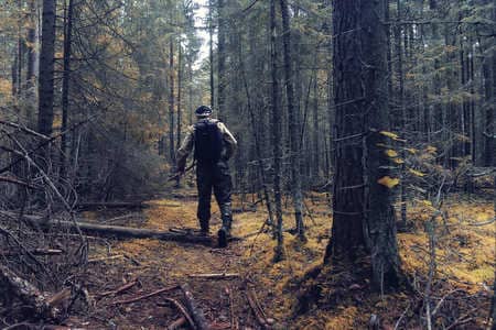 Купить диплом Егеря, лесника в Димитровграде