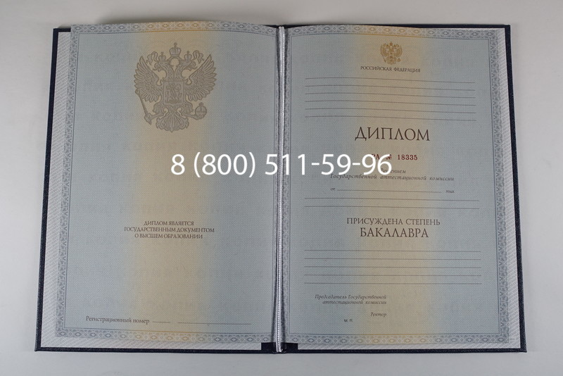 Диплом бакалавра 2012-2013 годов в Димитровграде Диплом бакалавра 2012-2013 годов в Димитровграде