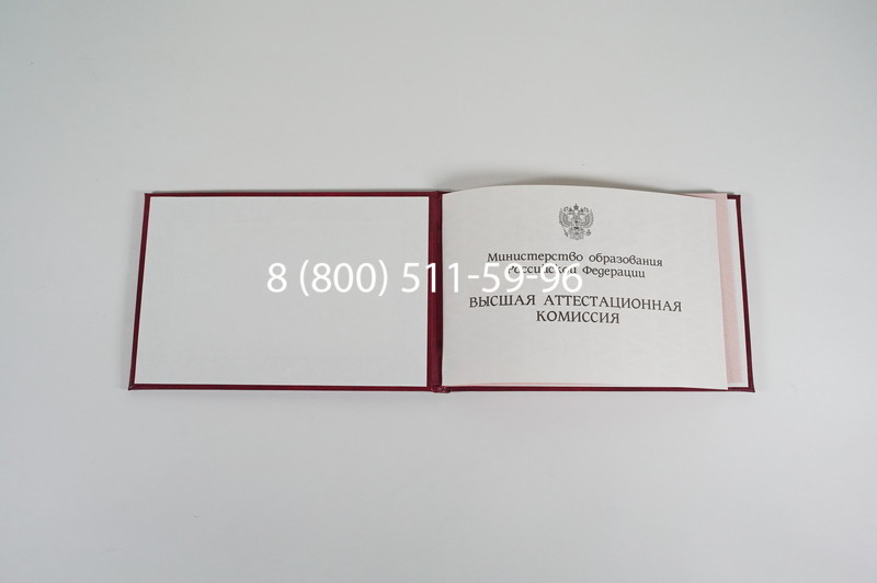Диплом доктора наук 1995-2006 года в Димитровграде Диплом доктора наук 1995-2006 года в Димитровграде
