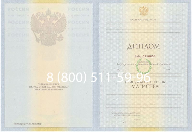 Купить Диплом магистра 2010-2011 годов в Димитровграде Купить Диплом магистра 2010-2011 годов в Димитровграде