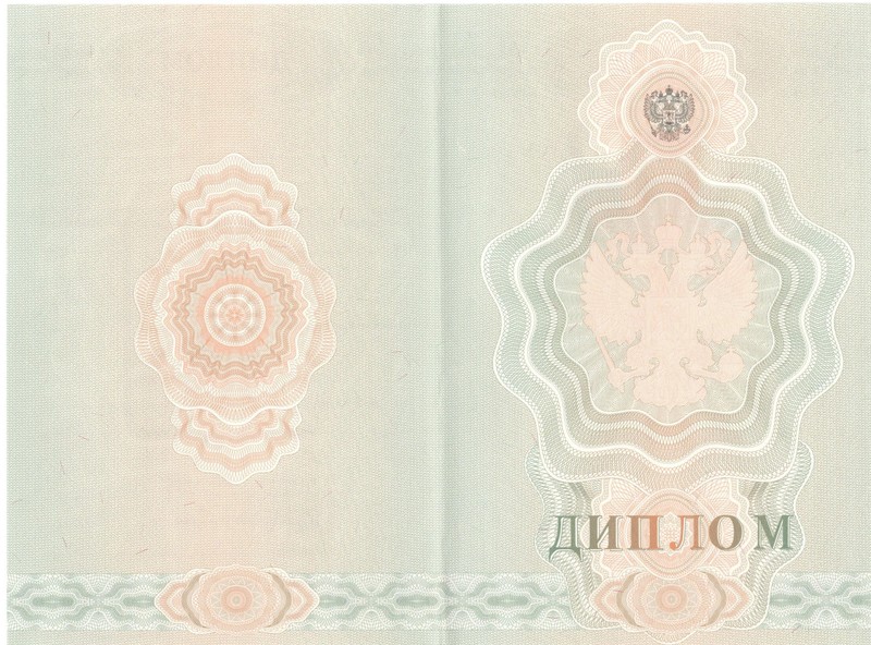 Купить Диплом о начальном образовании 2007-2009 годов в Димитровграде Купить Диплом о начальном образовании 2007-2009 годов в Димитровграде