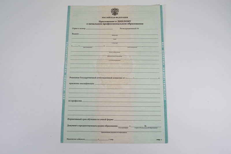 Диплом о начальном образовании 2010-2024 годов в Димитровграде Диплом о начальном образовании 2010-2024 годов в Димитровграде