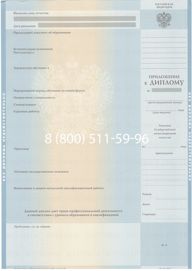 Купить Диплом специалиста 2003-2009 годов в Димитровграде Купить Диплом специалиста 2003-2009 годов в Димитровграде